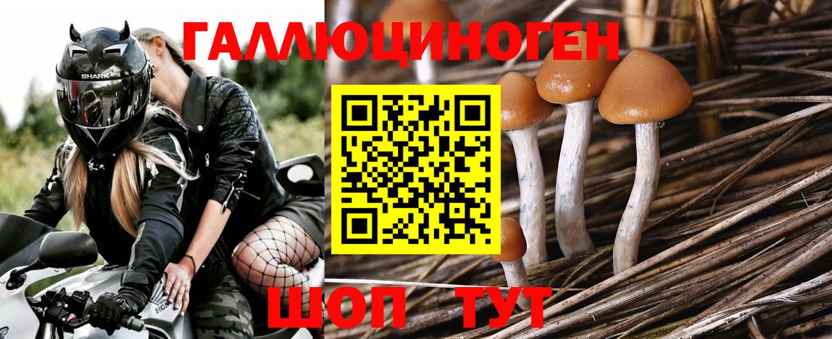 Псилоцибиновые грибы мицелий Трёхгорный